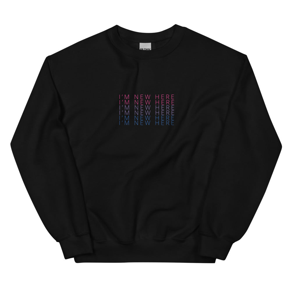 I'M NEW HERE Bi pride flag crewneck