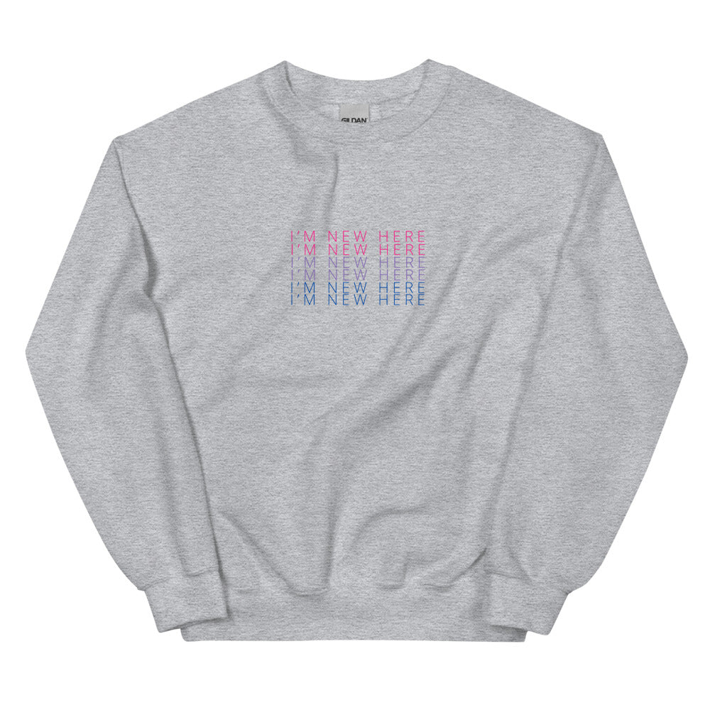 I'M NEW HERE Bi pride flag crewneck