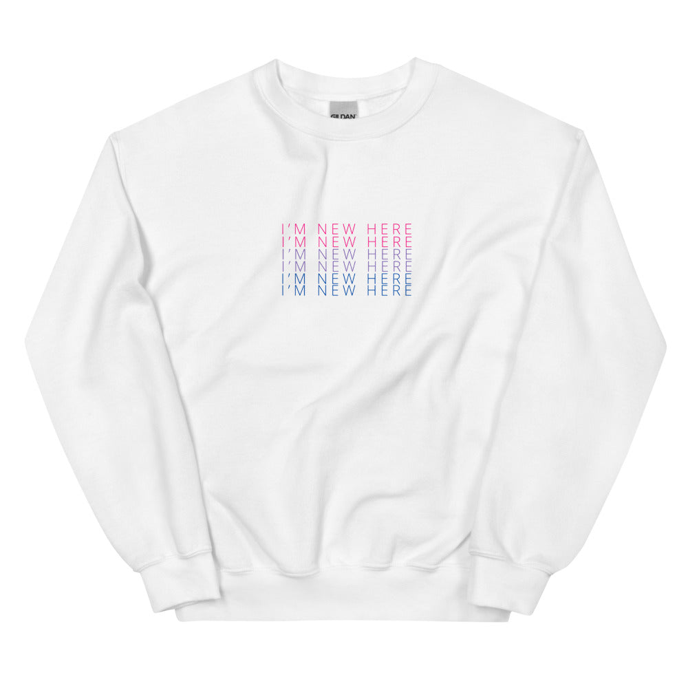 I'M NEW HERE Bi pride flag crewneck