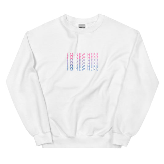 I'M NEW HERE Bi pride flag crewneck